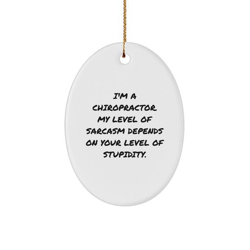 Funny Chiropractor Gifts for Men, Sarcasm Level, Oval Ornament, Gifts from Friends for Chiropractor, Unique Christmas Unique Gifts - Image 1