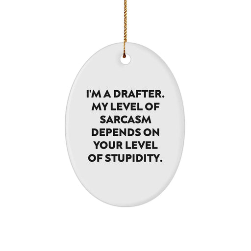Funny Drafter Gifts from Friends, Oval Ornament for Drafter, A Sarcastic Christmas Decoration Idea for Men, Women, Coworkers, Family - Image 1