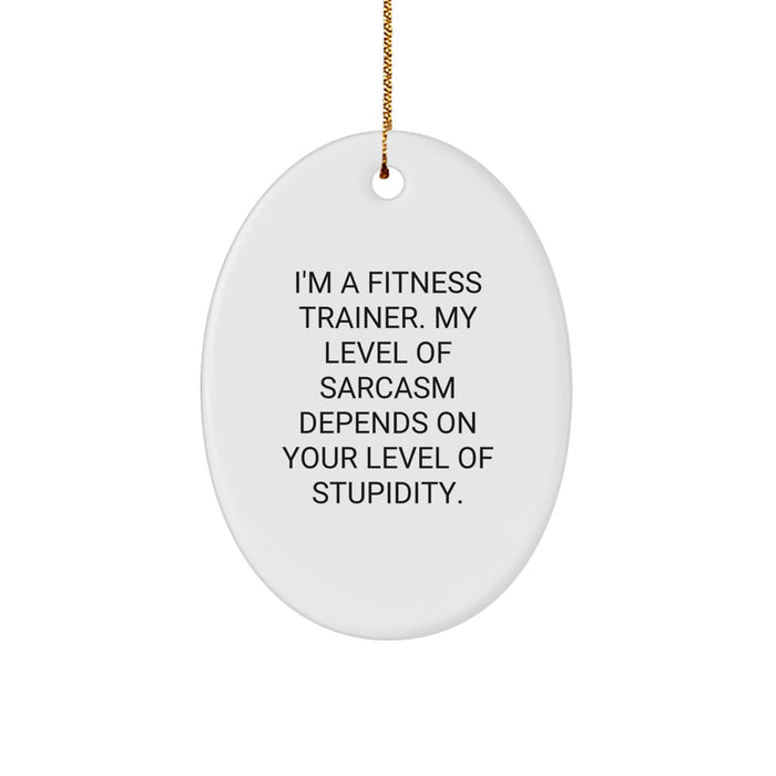 Fitness Trainer Oval Ornament Funny Sarcasm Gifts for Men from Friends - Image 1