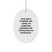Funny Mail Carrier Oval Ornament Gifts from Men for Friends, Christmas Unique Gifts for Mail Carrier - Image 1