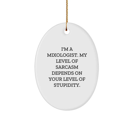 Mixologist Humor Oval Ornament - Funny Gift for Friends, Coworkers, or Family Members - Unique Christmas Decorations for Homes with Kids or Pets - Image 1