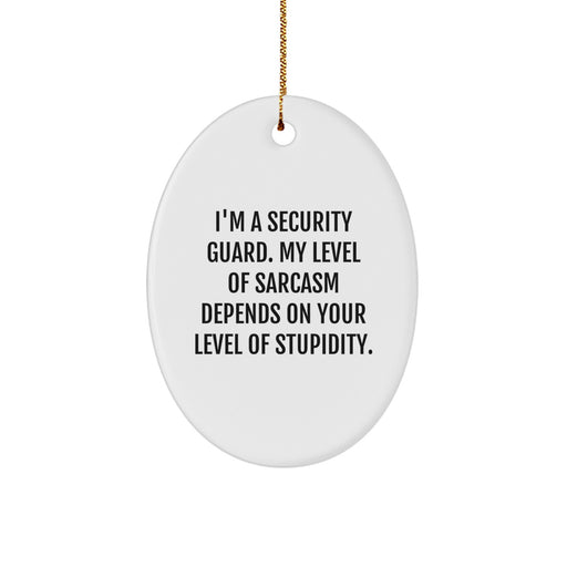 Funny Security Guard Gifts from Men for Christmas Unique Oval Ornament - Security Guard Sarcasm Humor - Image 1