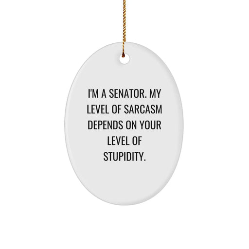 Funny Senator Gifts, Oval Ornament for Senator, Christmas Unique Gifts from Friends, Senator Sarcasm Quote - Image 1