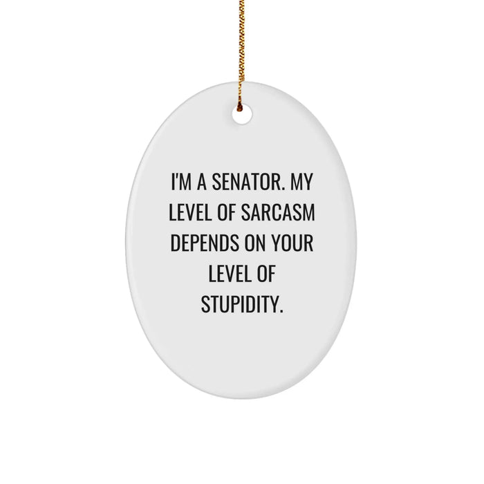 Funny Senator Gifts, Oval Ornament for Senator, Christmas Unique Gifts from Friends, Senator Sarcasm Quote - Image 1