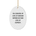 Funny Senator Gifts, Oval Ornament for Senator, Christmas Unique Gifts from Friends, Senator Sarcasm Quote - Image 1