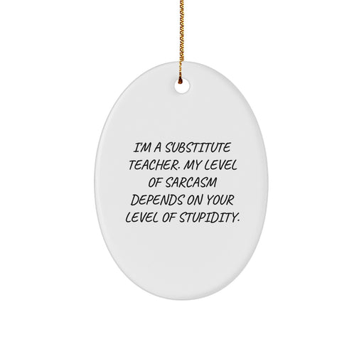 Funny Substitute Teacher Gifts, Oval Ornament, Sarcasm Humor, Gifts from Men, Friends, Coworkers to Substitute Teacher, Christmas Unique Gifts - Image 1