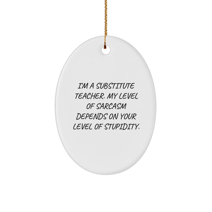Funny Substitute Teacher Gifts, Oval Ornament, Sarcasm Humor, Gifts from Men, Friends, Coworkers to Substitute Teacher, Christmas Unique Gifts - Image 1