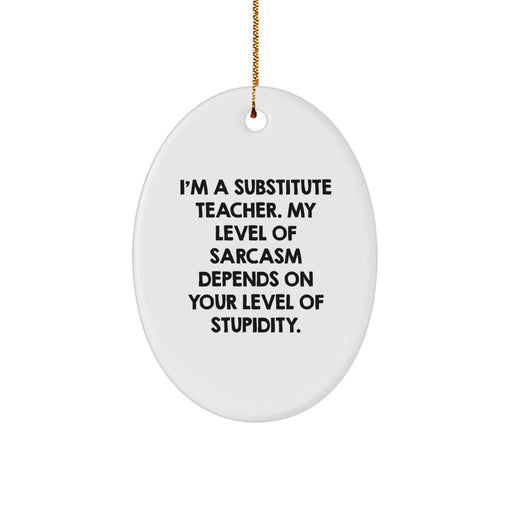 Funny Substitute Teacher Gifts, Christmas Unique Gifts for Substitute Teacher, Oval Ornament Decoration with 'I'm A Substitute Teacher. My Level Of Sarcasm Depends On Your Level Of Stupidity.' Quote - Image 1