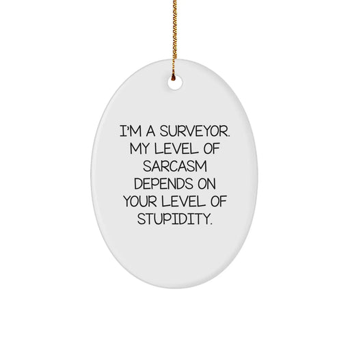 Funny Surveyor Oval Ornament Gifts from Friends, Surveyor Unique Gifts for Men, Oval Ornament Christmas Unique Gifts for Surveyor Friends - Image 1