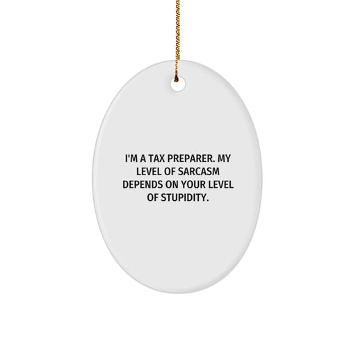 Funny Tax Preparer Oval Ornament Gifts from Friends for Tax Preparer, Oval Ornament Lover, Christmas Unique Gifts - Image 1
