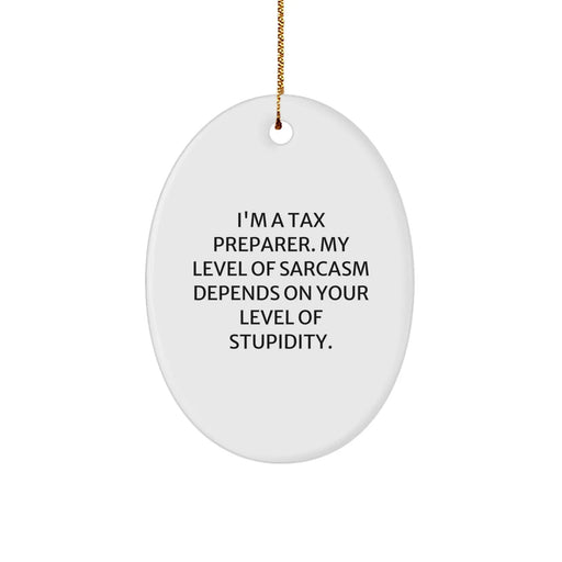 Funny Tax Preparer Gifts, Oval Ornament for Tax Professionals from Friends, Christmas Unique Gifts for Tax Preparer, Humorous Tax Season Decorations - Image 1