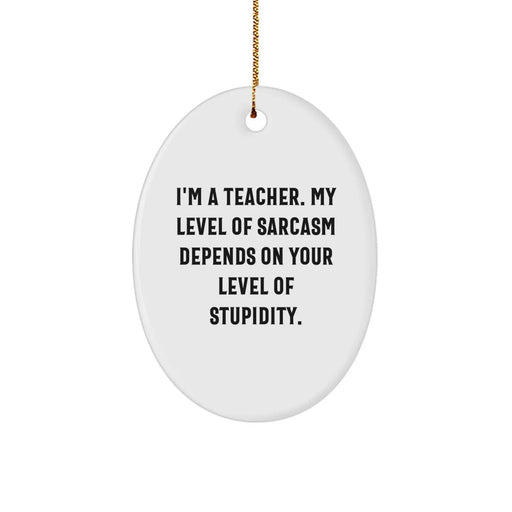 Funny Teacher Oval Ornament Gifts from Men to Friends for Christmas Unique Presents - Image 1