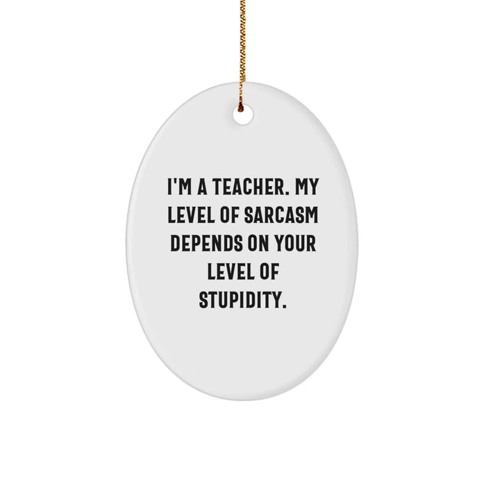 Funny Teacher Oval Ornament Gifts from Men to Friends for Christmas Unique Presents - Image 1