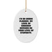 Funny Urban Planner Oval Ornament for Christmas Unique Gifts from Family to Friends - Unique Gift Idea for Urban Planner Enthusiasts - Image 1