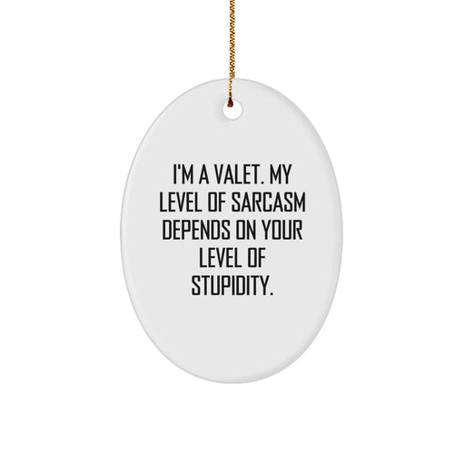 Funny Valet Gifts from Men - Oval Ornament for Valet, I'm A Valet, Sarcasm Level, Christmas Unique Gifts - Image 1