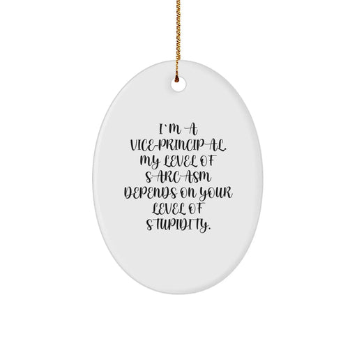 Funny Vice-principal Gifts from Men, Vice-principal Christmas Unique Ornaments, Oval Shape, I'm A Vice-principal, My Level Of Sarcasm Depends On Your Level Of Stupidity. - Image 1