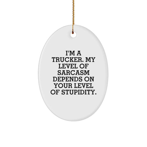 Funny Trucker Christmas Unique Gifts for Men Oval Ornament from Friends - Image 1