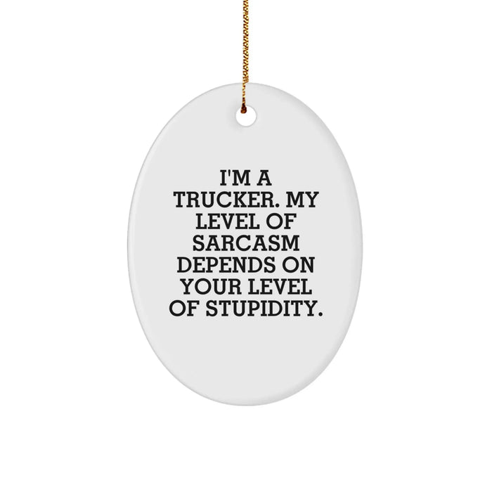 Funny Trucker Christmas Unique Gifts for Men Oval Ornament from Friends - Image 1