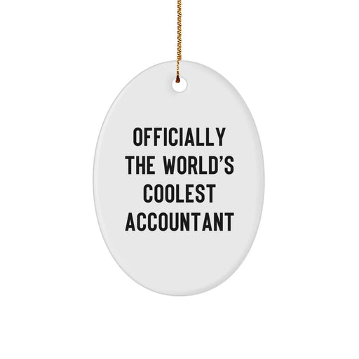 Funny Accountant Oval Ornament, Gift for Accountant, Men, Women from Friends, Coworkers, Family, Christmas Unique Gifts - Image 1