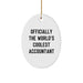 Funny Accountant Oval Ornament, Gift for Accountant, Men, Women from Friends, Coworkers, Family, Christmas Unique Gifts - Image 1