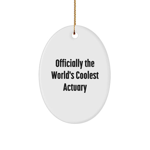 Funny Actuary Gifts from Friends, Officially The World's Coolest Actuary Oval Ornament for Christmas, Unique Oval Shaped Decorations - Image 1