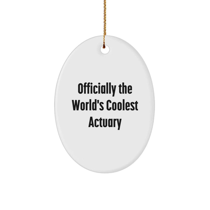 Funny Actuary Gifts from Friends, Officially The World's Coolest Actuary Oval Ornament for Christmas, Unique Oval Shaped Decorations - Image 1