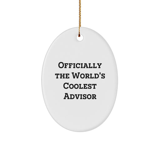 Funny Advisor Gifts from Coworkers, Gifts for Advisors This Christmas Unique - Image 1
