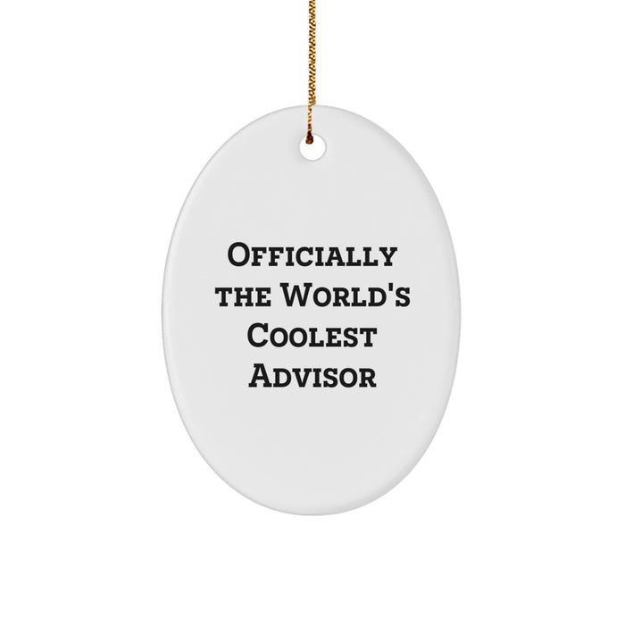 Funny Advisor Gifts from Coworkers, Gifts for Advisors This Christmas Unique - Image 1