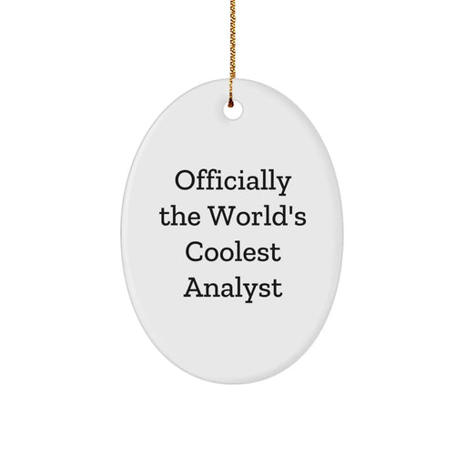 Gifts from Men to Analyst Friends Unique Oval Ornament Officially The World's Coolest Analyst Humor - Image 1
