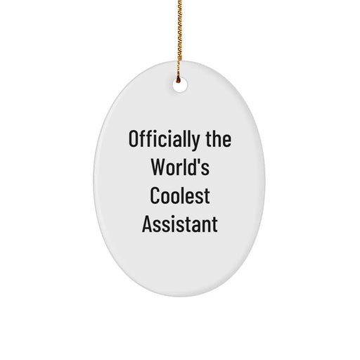 Funny Assistant Oval Ornament Gifts from Friends or Family for Christmas Unique Assistant Shaped Oval Decor Gift - Image 1