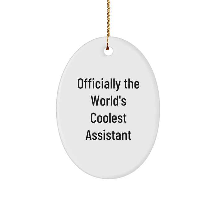 Funny Assistant Oval Ornament Gifts from Friends or Family for Christmas Unique Assistant Shaped Oval Decor Gift - Image 1