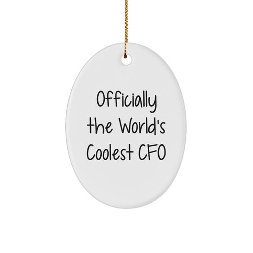 Funny CFO Gifts for Men, Officially The World's Coolest Cfo Oval Ornament Christmas Unique Gifts from Friends to CFO - Image 1
