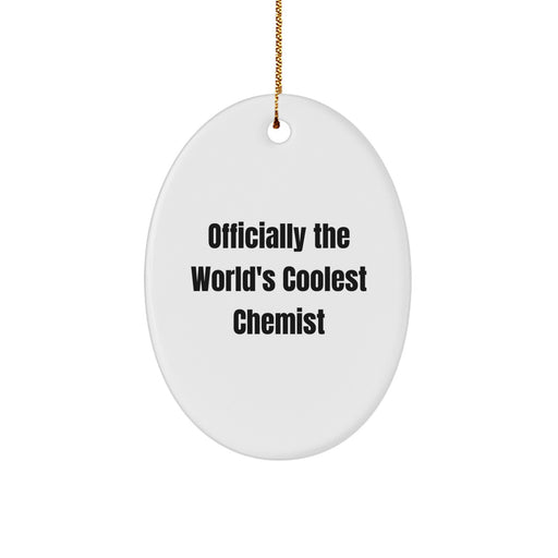 Christmas Unique Gifts from Men to Chemist Friends - Funny Oval Ornament Officially The World's Coolest Chemist - Image 1