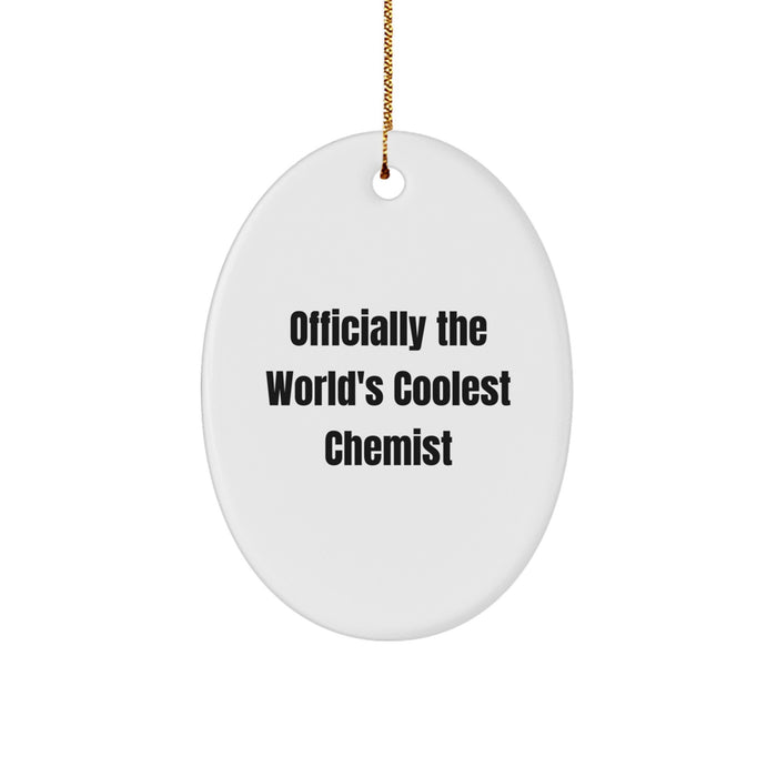 Christmas Unique Gifts from Men to Chemist Friends - Funny Oval Ornament Officially The World's Coolest Chemist - Image 1