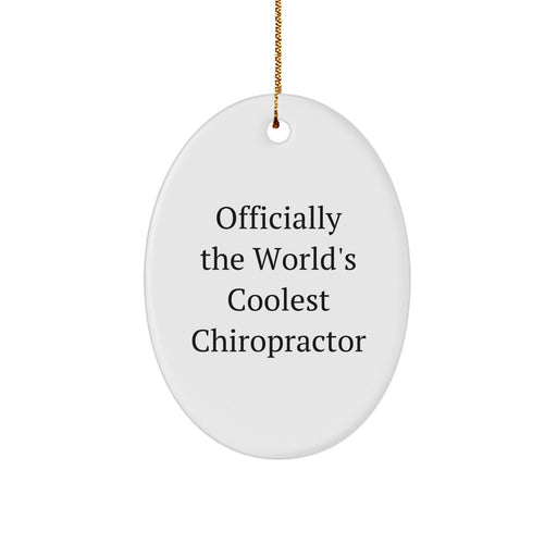 Funny Chiropractor Gifts from Men, Women, Friends, Coworkers, or Family this Christmas Unique Gifts for Chiropractor, Men, Women, Friends, Coworkers, or Family - Image 1