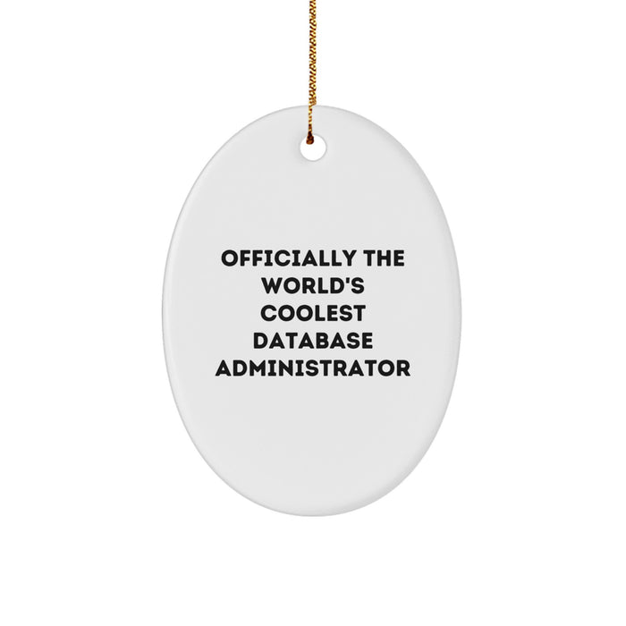 Funny Database Administrator Gifts, Officially The World's Coolest DBA Oval Ornament, Christmas Unique Gifts for DBA, Friends, Coworkers from Family - Image 1