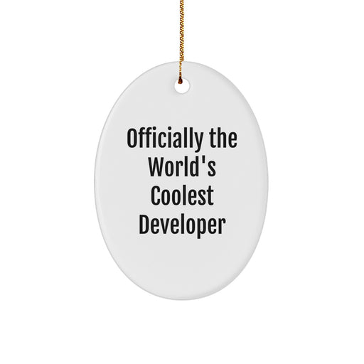 Developer Oval Ornament, Funny Quote Officially The World's Coolest Developer Gifts from Friends and Family for Christmas Unique Decorations - Image 1