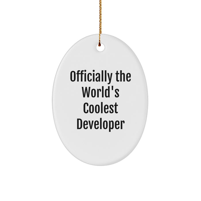 Developer Oval Ornament, Funny Quote Officially The World's Coolest Developer Gifts from Friends and Family for Christmas Unique Decorations - Image 1