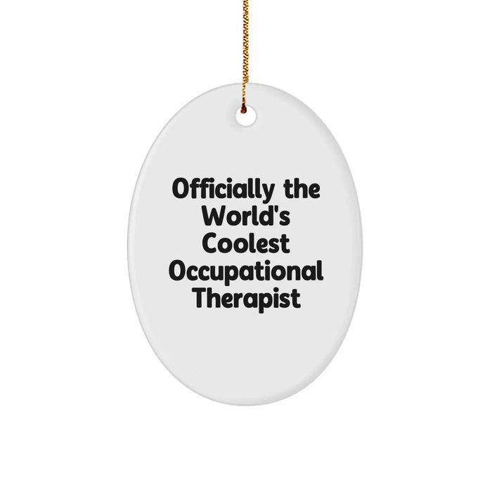 Funny Occupational Therapist Oval Ornament Gifts from Men, Women, Friends, Coworkers, Family to Occupational Therapist Men, Women, Friends, Coworkers, Family at Christmas Unique Gifts - Image 1