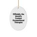 Funny Occupational Therapist Oval Ornament Gifts from Men, Women, Friends, Coworkers, Family to Occupational Therapist Men, Women, Friends, Coworkers, Family at Christmas Unique Gifts - Image 1