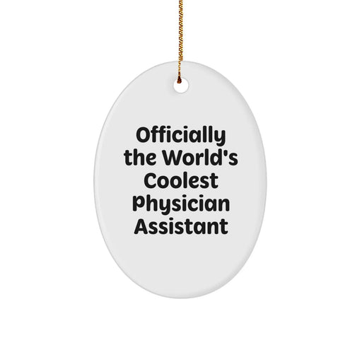 Funny, Inspirational Gifts for Physician Assistant, Oval Ornament, Christmas, Gifts from Family, Gifts for Physician Assistant - Image 1