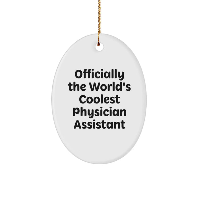Funny, Inspirational Gifts for Physician Assistant, Oval Ornament, Christmas, Gifts from Family, Gifts for Physician Assistant - Image 1