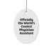 Funny, Inspirational Gifts for Physician Assistant, Oval Ornament, Christmas, Gifts from Family, Gifts for Physician Assistant - Image 1