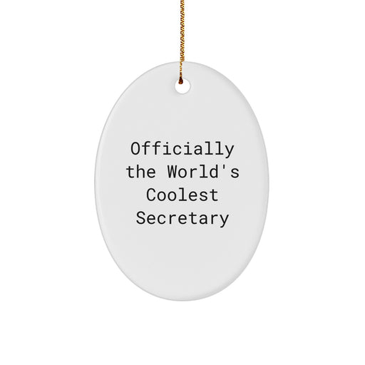 Funny Secretary Gifts from Friends, Unique Oval Ornament Quote for Secretary - Officially The World's Coolest Secretary - Funny Oval Decoration for Christmas Unique Gifts - Image 1