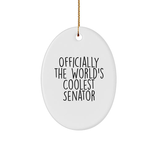 Funny Senator Oval Ornament Gifts for Men - Officially The World's Coolest Senator, Unique Christmas Ornaments, Senator Gifts for Friends, Family, and Coworkers - Image 1
