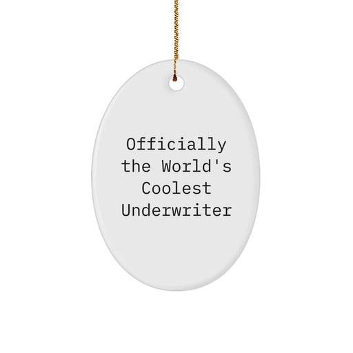 Funny Underwriter Gifts from Family - Oval Ornament for Underwriter, Christmas Unique Gifts for Men, Women, Friends, Coworkers, World's Coolest Underwriter - Image 1