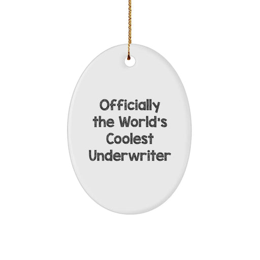 Funny Underwriter Gifts for Men, Women, or Friends - Officially The World's Coolest Underwriter Oval Ornament, Christmas Unique Gifts from Family - Image 1