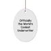 Funny Underwriter Gifts for Men, Women, or Friends - Officially The World's Coolest Underwriter Oval Ornament, Christmas Unique Gifts from Family - Image 1