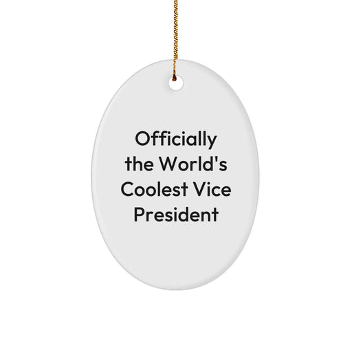 Funny Vice President Oval Ornament Gifts from Friends, Christmas Unique Gifts, for Vice President Men - Image 1
