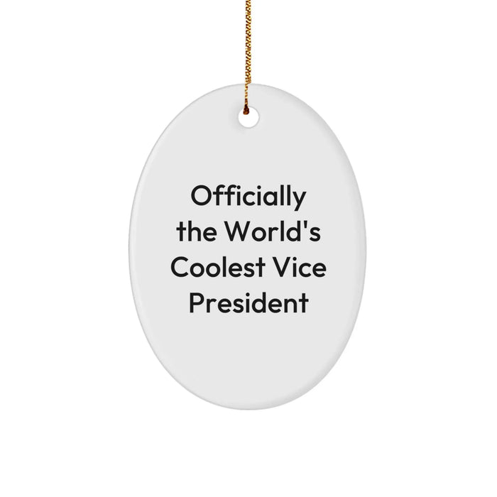 Funny Vice President Oval Ornament Gifts from Friends, Christmas Unique Gifts, for Vice President Men - Image 1